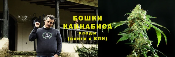 a pvp Бородино