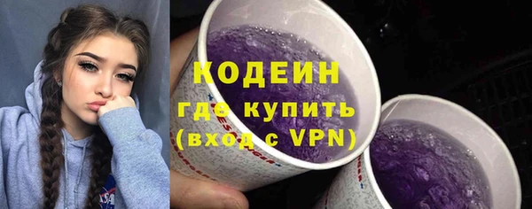 a pvp Бородино