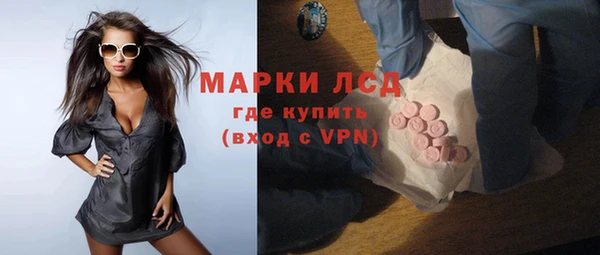 a pvp Бородино