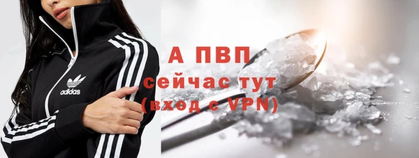 a pvp Бородино