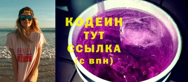 a pvp Бородино