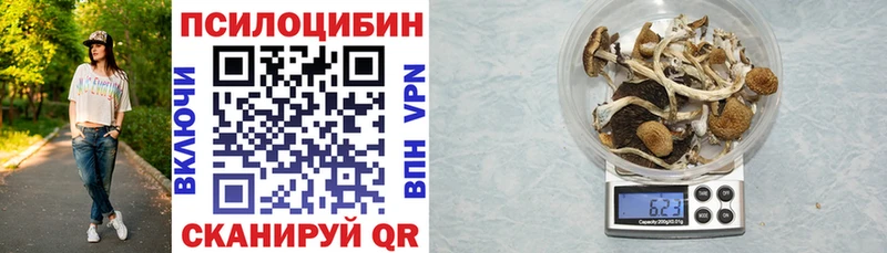Галлюциногенные грибы Magic Shrooms  Новоржев 