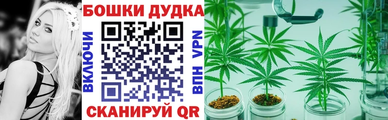 купить закладку  shop телеграм  Канабис OG Kush  Новоржев 